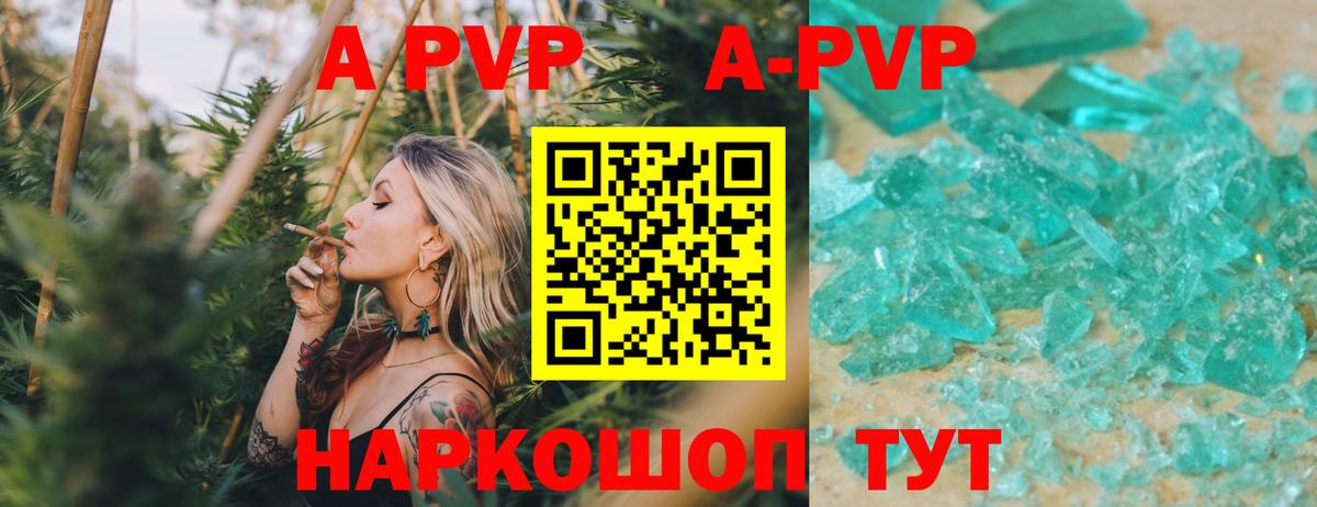 A PVP крисы CK  Вход с VPN  Alfa_PVP СК КРИС  Ишим  Alfa_PVP СК КРИС 
